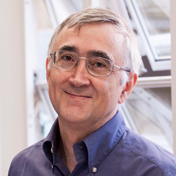 Dr. Elias Campo, MD, PhD
